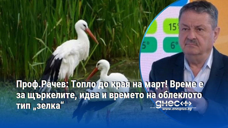 Проф.Рачев: Топло до края на март! Време е за щъркелите, идва и времето на облеклото тип „зелка“