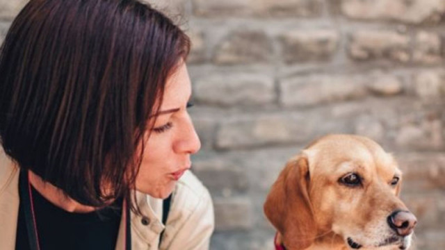 Гърция организира специален полет за евакуация от Дубай на хора с домашни любимци