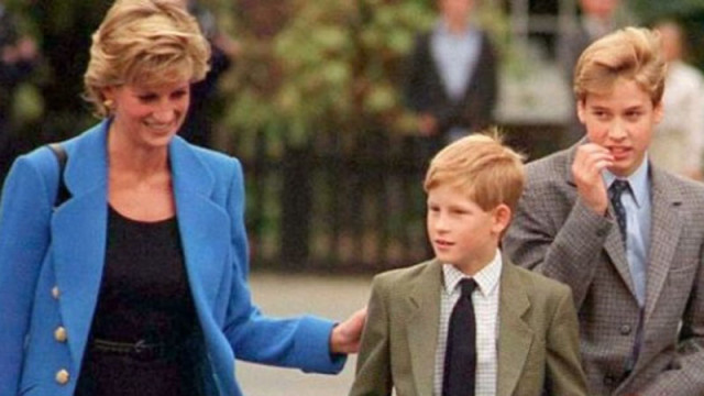 Принцеса Даяна е подготвяла Хари да стане крал, Уилям е бил твърде "срамежлив"