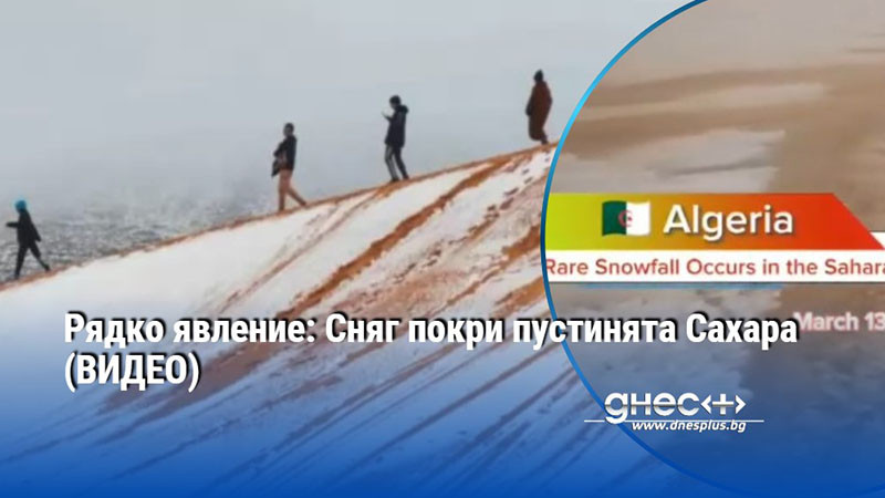 Рядко явление: Сняг покри пустинята Сахара (ВИДЕО)