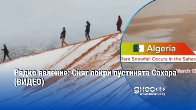 Рядко явление: Сняг покри пустинята Сахара (ВИДЕО)