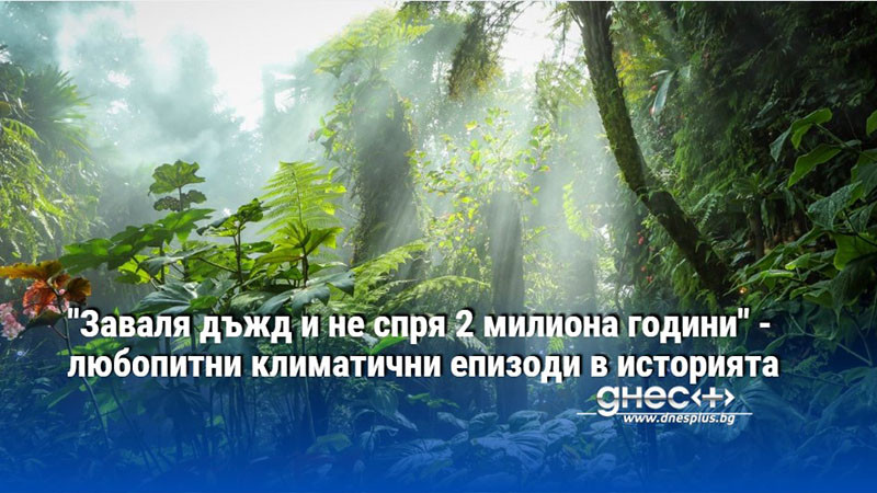 "Заваля дъжд и не спря 2 милиона години" - любопитни климатични епизоди в историята