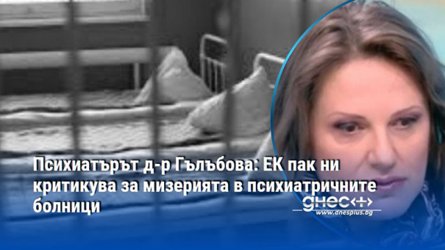 Психиатърът д-р Гълъбова: ЕК пак ни критикува за мизерията в психиатричните болници