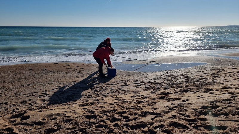 РИОСВ - Варна проверява сигнали за намерени мъртви птици по крайбрежието на Шабла