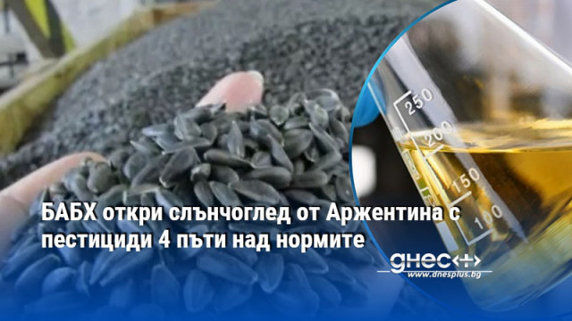БАБХ откри слънчоглед от Аржентина с пестициди 4 пъти над нормите