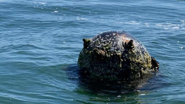 От началото на войната в Украйна българските ВМС са унищожили 9 мини в Черно море
