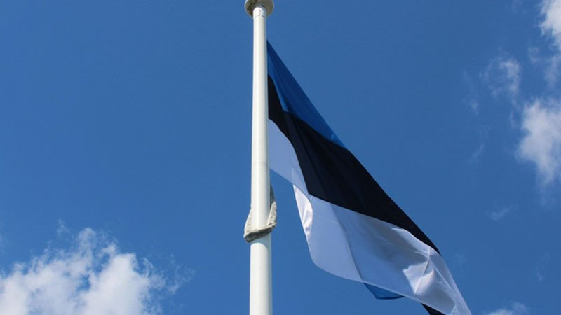 Естония: Дрон навлезе от Русия и удари комин на ТЕЦ