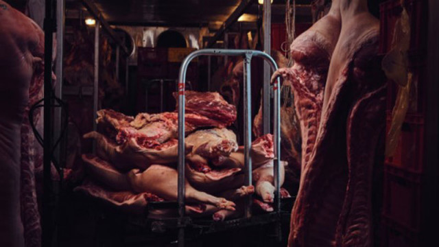 Откриха незаконни кланици в Кърджалийско