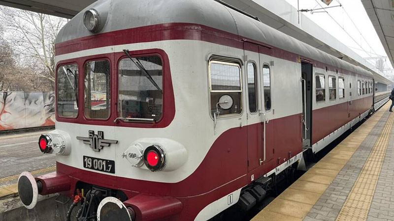 Спряха влаковете между Мирково и Столник заради паднало дърво