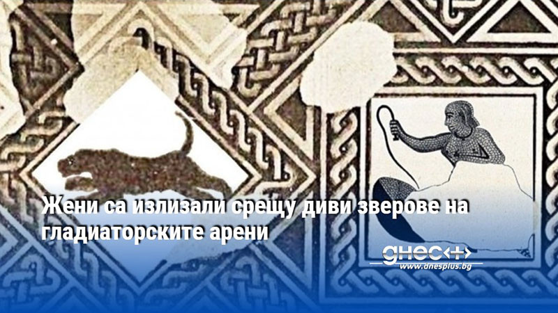 Жени са излизали срещу диви зверове на гладиаторските арени