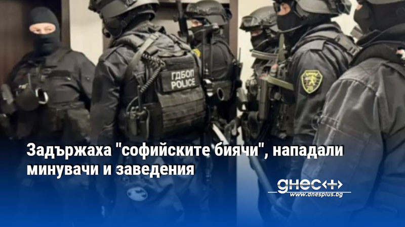 Задържаха "софийските биячи", нападали минувачи и заведения