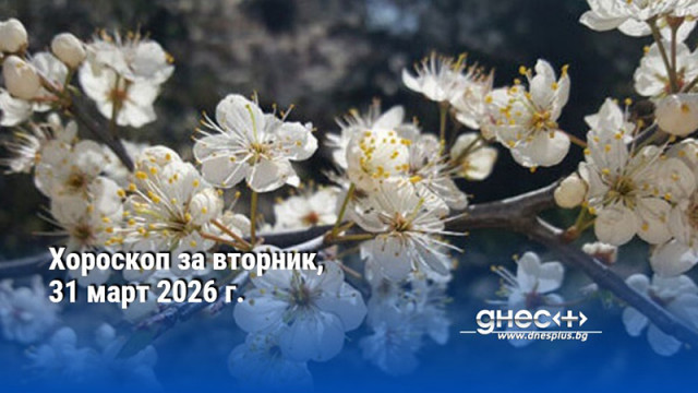 Хороскоп за вторник, 31 март 2026 г.