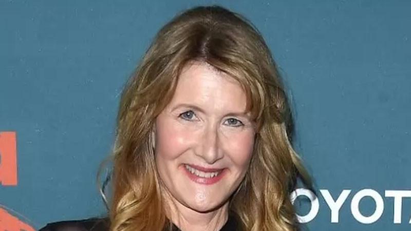 Досиетата „Епстийн“ и като сериал, Лора Дърн влиза в ролята на журналистката Джули К. Браун