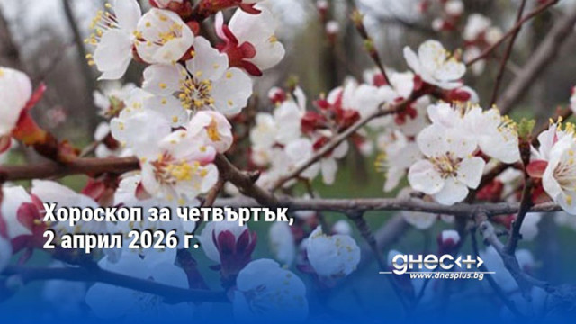 Хороскоп за четвъртък, 2 април 2026 г.