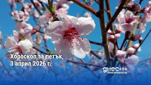 Хороскоп за петък, 3 април 2026 г.