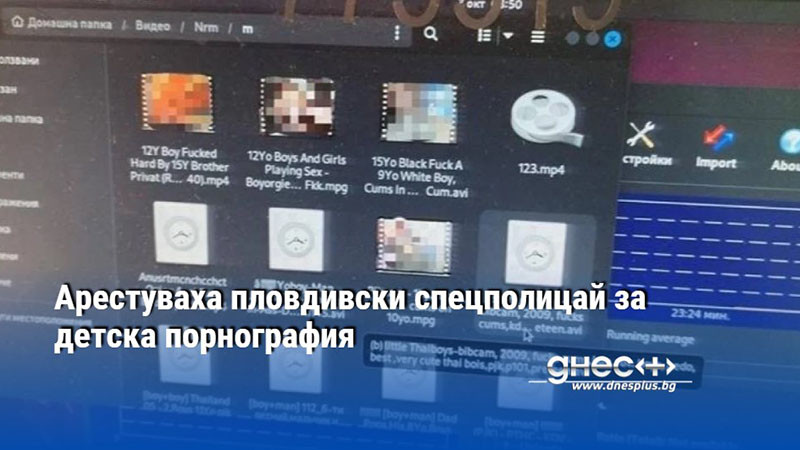 Арестуваха пловдивски спецполицай за детска порнография