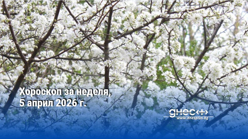 Хороскоп за неделя, 5 април 2026 г.