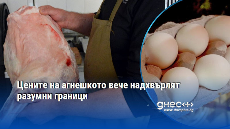 Цените на агнешкото вече надхвърлят разумни граници