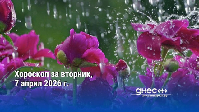 Хороскоп за вторник, 7 април 2026 г.