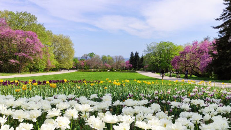 Косенето, озеленяването и осветлението във Варна ще се контролира от районните администрации