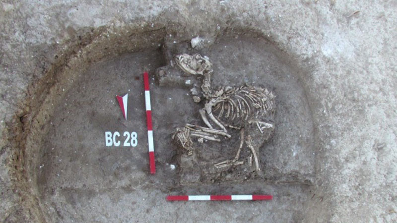 По следите на кучето в Древна Тракия