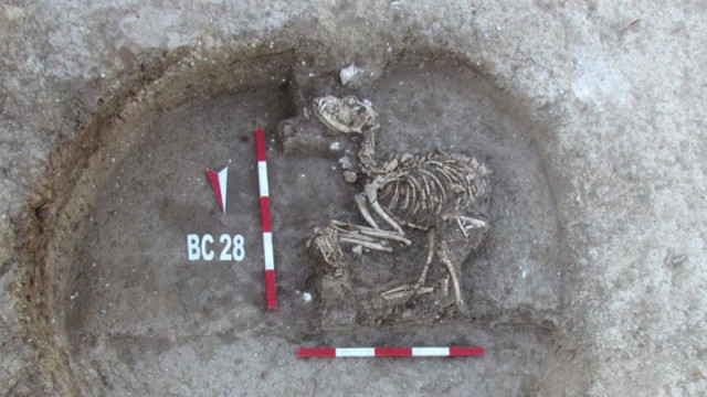 По следите на кучето в Древна Тракия