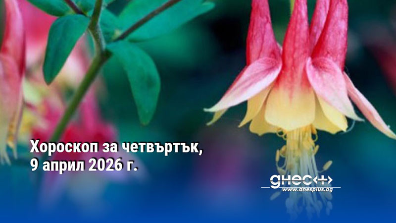 Хороскоп за четвъртък, 9 април 2026 г.