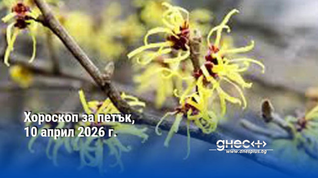 Хороскоп за петък, 10 април 2026 г.