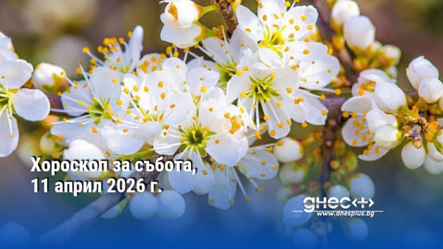 Хороскоп за събота, 11 април 2026 г.