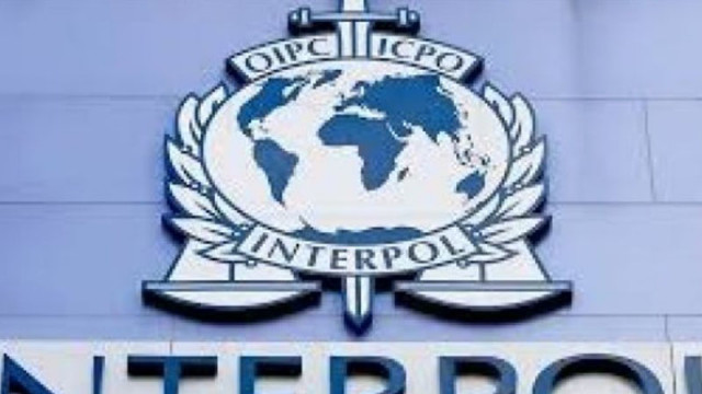 Предадени на Турция са 61 души, издирвани чрез Интерпол, включително в България