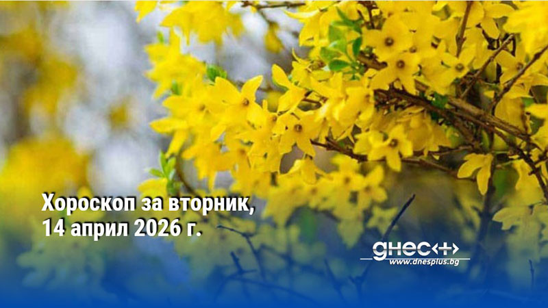 Хороскоп за вторник, 14 април 2026 г.