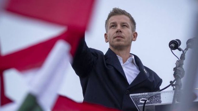 Мадяр: Ще продължим добрите отношения с Грузия