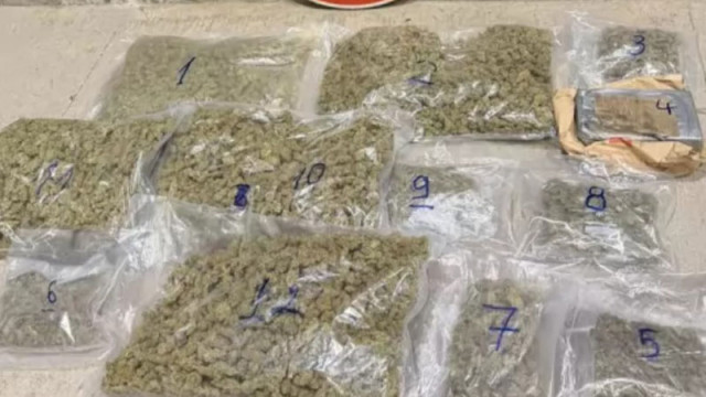 Митничари откриха кокаин и марихуана в камион с плодове на "Дунав мост 2"