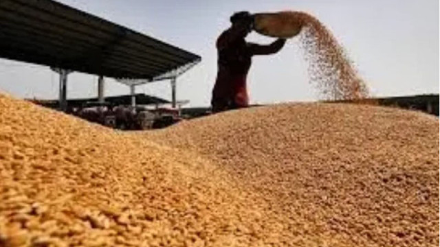 Зърнопроизводители готвят протести заради 50% скок на разходите