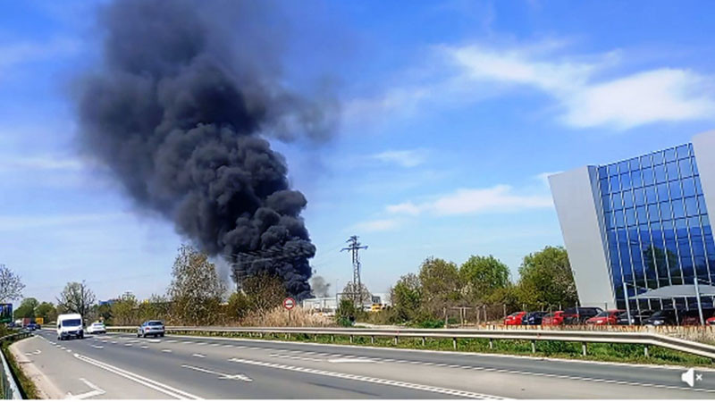 Над 30 коли бяха изпепелени при огромен пожар в автоморга в Пловдив