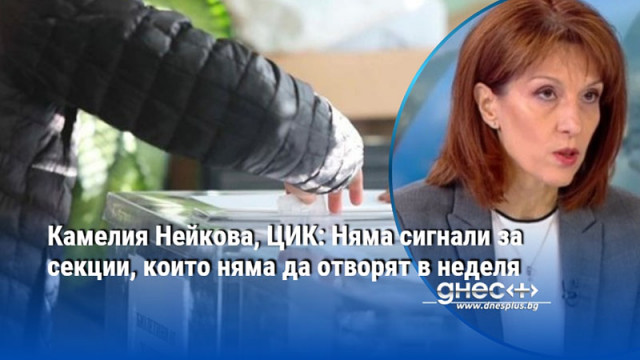 Камелия Нейкова, ЦИК: Няма сигнали за секции, които няма да отворят в неделя