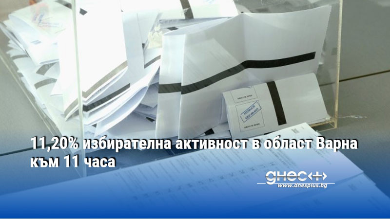 11,20% избирателна активност в област Варна към 11 часа