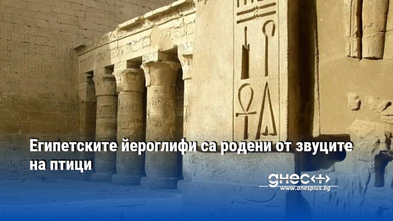 Египетските йероглифи са родени от звуците на птици
