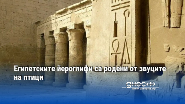 Египетските йероглифи са родени от звуците на птици