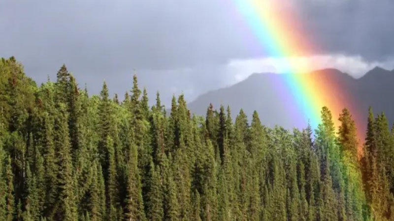 Чака ни променливо време с валежи в средата на седмицата и затопляне към уикенда