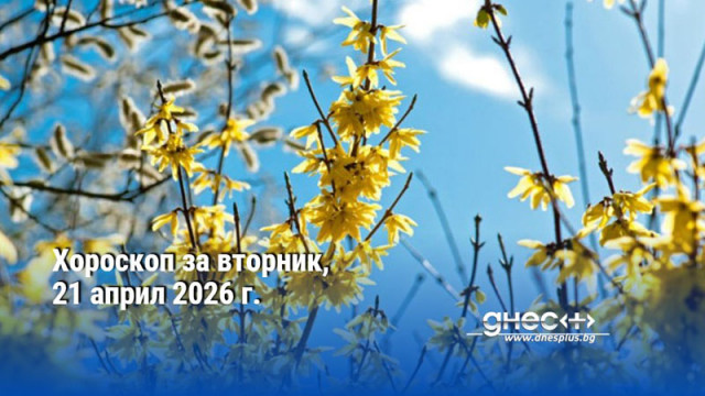 Хороскоп за вторник, 21 април 2026 г.