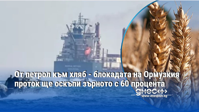 От петрол към хляб - блокадата на Ормузкия проток ще оскъпи зърното с 60 процента