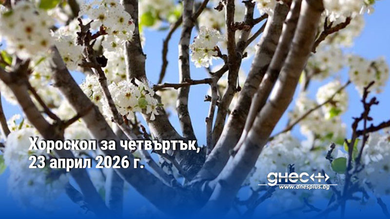 Хороскоп за четвъртък, 23 април 2026 г.