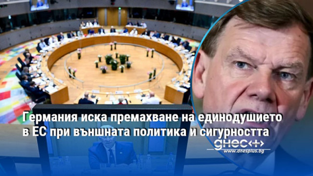 Германия иска премахване на единодушието в ЕС при външната политика и сигурността