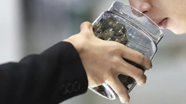 САЩ облекчават достъпа до медицински канабис