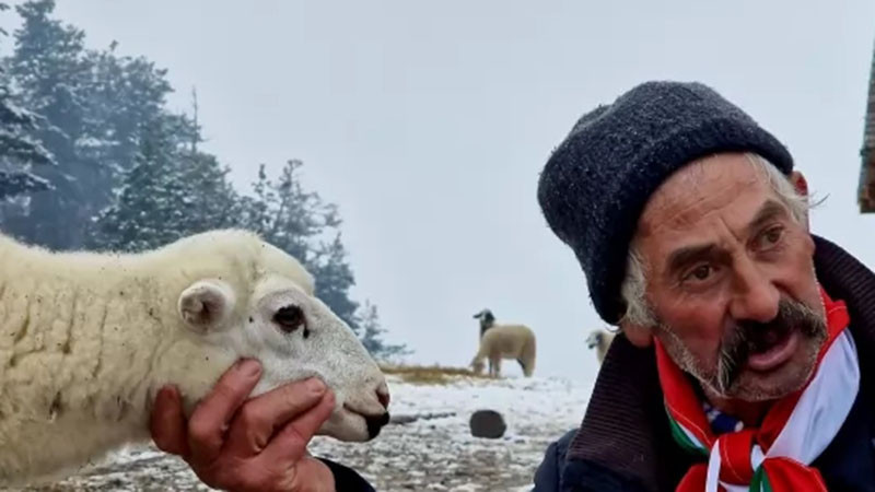 Селскостопански производител: Земеделската програма на ПБ е "увод на дипломна работа в университет"