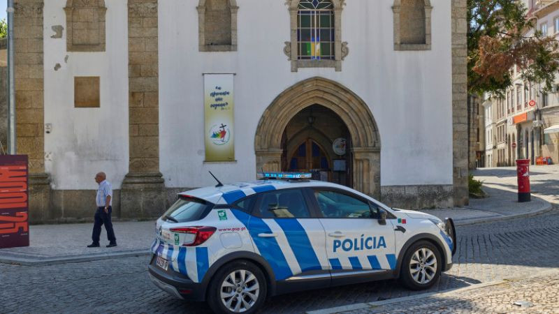 278 произведения иззети в Португалия, сред тях възможни оригинали на Пикасо