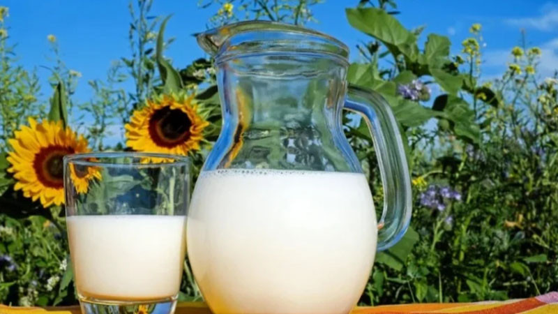 БАБХ въвежда 100% контрол върху вносното мляко