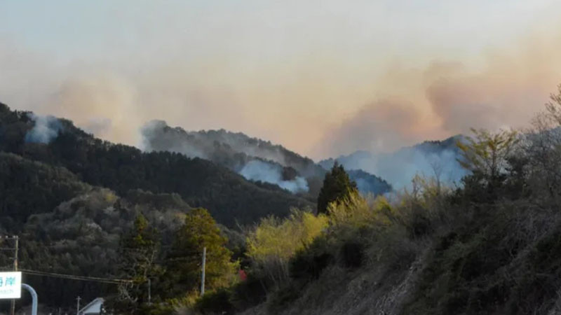 Горски пожари в Япония: евакуирани над 3000 души