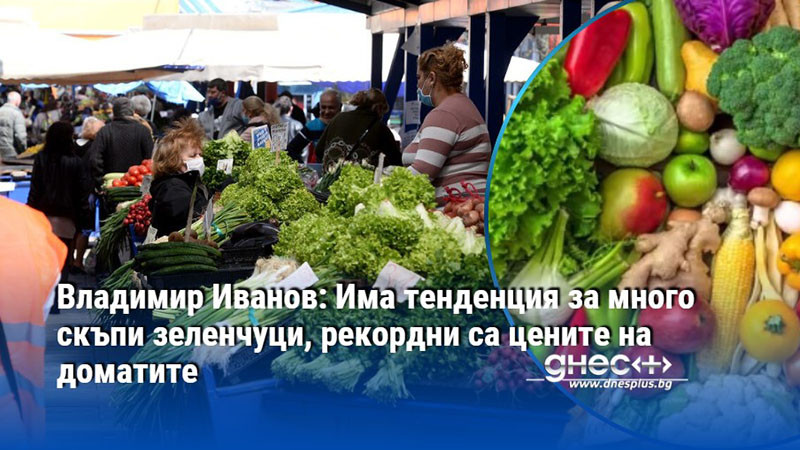 Владимир Иванов: Има тенденция за много скъпи зеленчуци, рекордни са цените на доматите